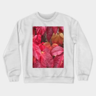 Autumn (Fall) Leaves Crewneck Sweatshirt